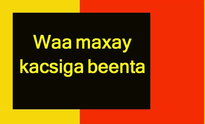 Waa maxay kacsiga beenta