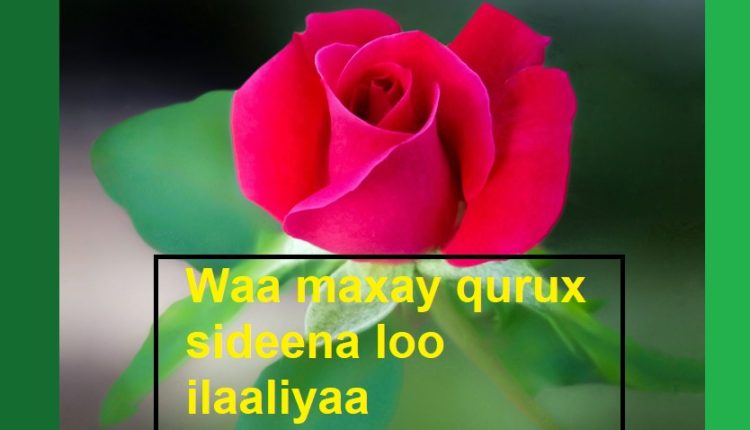 Waa maxay qurux sideena loo ilaaliyaa 1