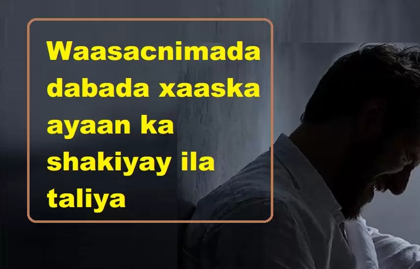 Waasacnimada dabada xaaska ayaan ka shakiyay ila taliya