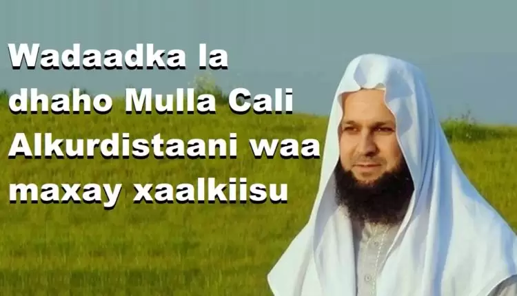 Wadaadka la dhaho Mulla Cali Alkurdistaani waa maxay xaalkiisu