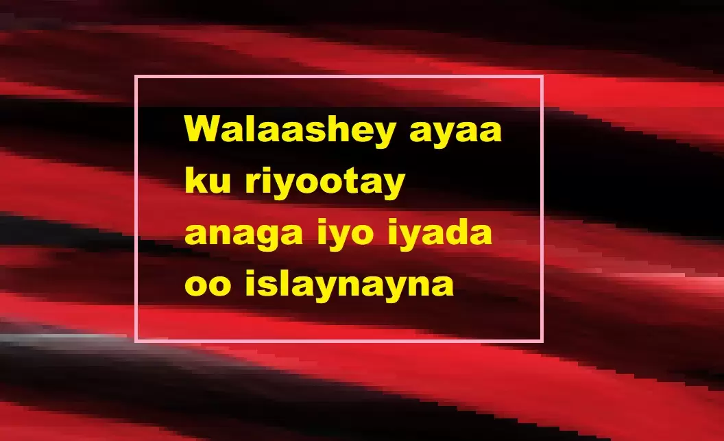 Walaashey ayaa ku riyootay anaga iyo iyada oo islaynayna