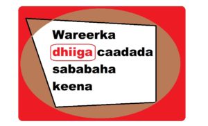 Wareerka dhiiga caadada sababaha keena