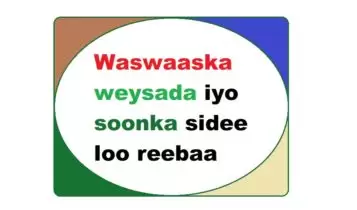 Waswaaska weysada iyo soonka sidee loo reebaa