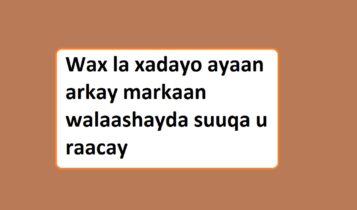 Wax la xadayo ayaan arkay markaan walaashayda suuqa u raacay