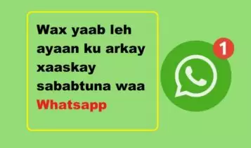 Wax yaab leh ayaan ku arkay xaaskay sababtuna waa Whatsapp Wax yaab leh ayaan ku arkay xaaskay sababtuna waa Whatsapp