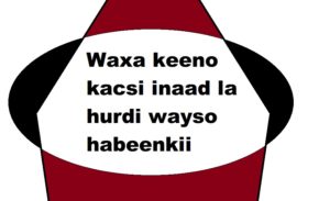 Waxa keeno kacsi inaad la hurdi wayso habeenkii