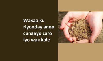 Waxaa ku riyooday anoo cunaayo caro iyo wax kale