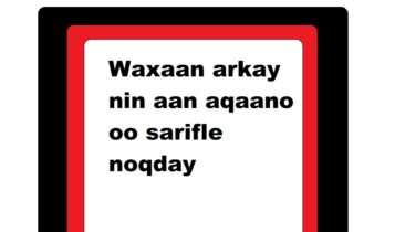 Waxaan arkay nin aan aqaano oo sarifle noqday