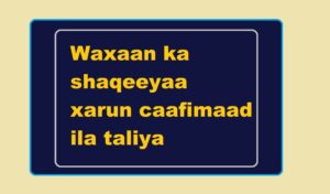 Waxaan ka shaqeeyaa xarun caafimaad ila taliya