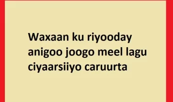 Waxaan ku riyooday anigoo joogo meel lagu ciyaarsiiyo caruurta