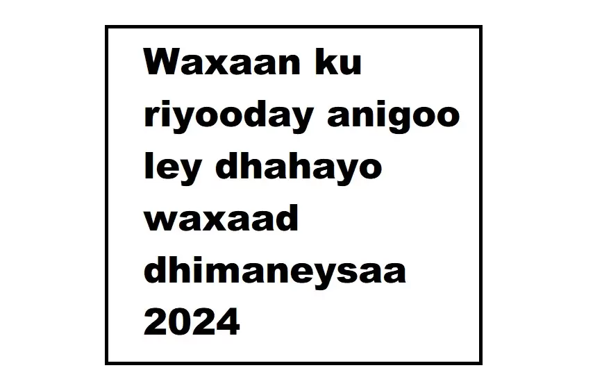 Waxaan ku riyooday anigoo ley dhahayo waxaad dhimaneysaa 2024