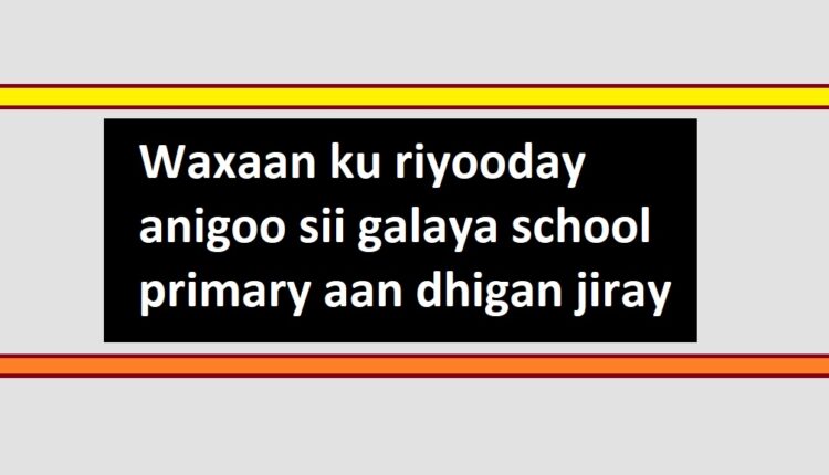 Waxaan ku riyooday anigoo sii galaya school primary aan dhigan jiray