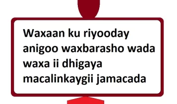 Waxaan ku riyooday anigoo waxbarasho wada waxa ii dhigaya macalinkaygii jamacada