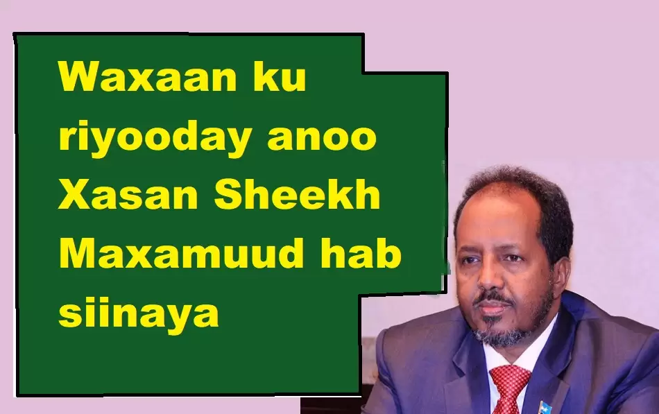 Waxaan ku riyooday anoo Xasan Sheekh Maxamuud hab siinaya