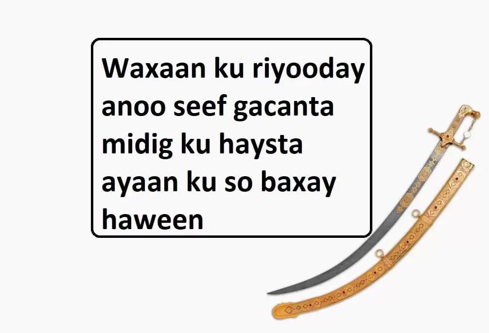 Waxaan ku riyooday anoo seef gacanta midig ku haysta ayaan ku so baxay haween