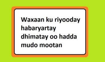 Waxaan ku riyooday habaryartay dhimatay oo hadda mudo mootan