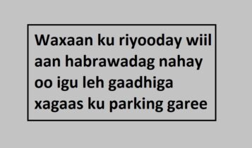 Waxaan ku riyooday wiil aan habrawadag nahay oo igu leh gaadhiga xagaas ku parking garee