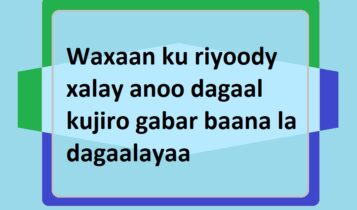 Waxaan ku riyoody xalay anoo dagaal kujiro gabar baana la dagaalayaa