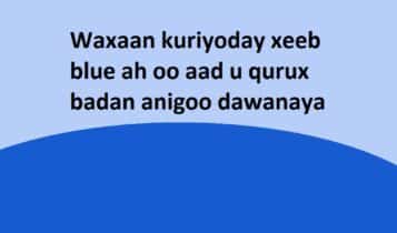 Waxaan kuriyoday xeeb blue ah oo aad u qurux badan anigoo dawanaya