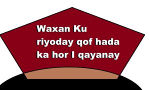 Waxan Ku riyoday qof hada ka hor I qayanay