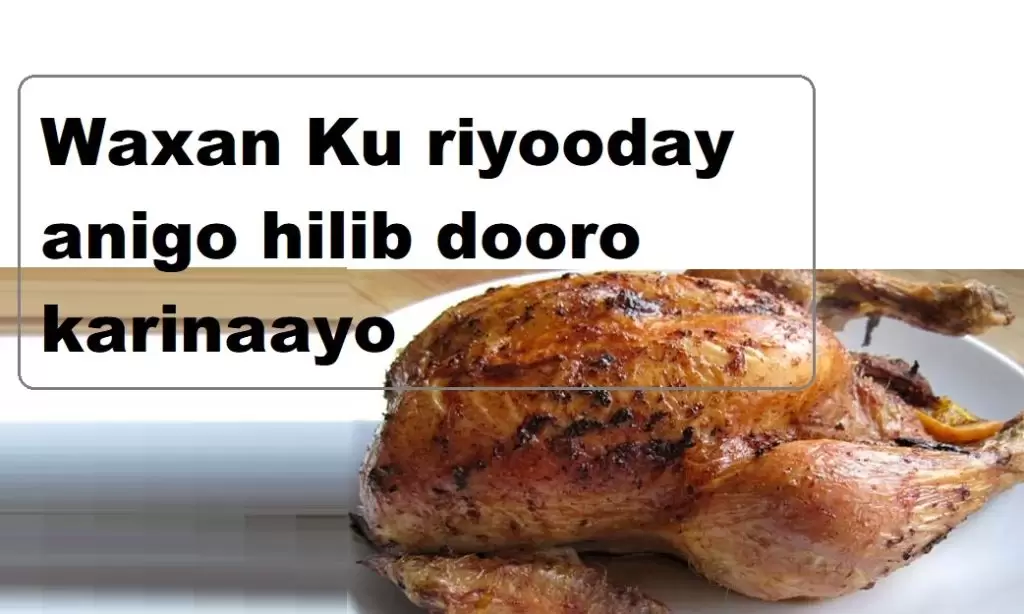 Waxan Ku riyooday anigo hilib dooro karinaayo
