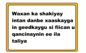 Waxan ka shakiyay intan danbe xaaskayga in geedkaygu si fiican u qancinaynin ee ila taliya Waxan ka shakiyay intan danbe xaaskayga in geedkaygu si fiican u qancinaynin ee ila taliya