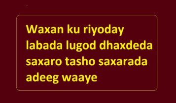 Waxan ku riyoday labada lugod dhaxdeda saxaro tasho saxarada adeeg waaye