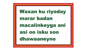 Waxan ku riyoday marar badan macalinkeyga ani asi oo isku soo dhawaaneyno