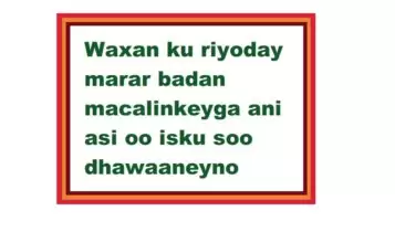 Waxan ku riyoday marar badan macalinkeyga ani asi oo isku soo dhawaaneyno Waxan ku riyoday marar badan macalinkeyga ani asi oo isku soo dhawaaneyno