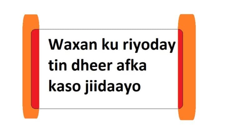 Waxan ku riyoday tin dheer afka kaso jiidaayo