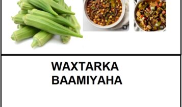 Waxtarka baamiyaha