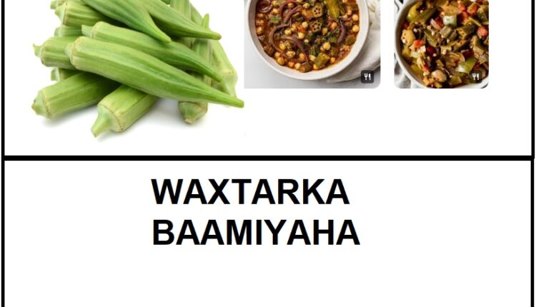 Waxtarka baamiyaha