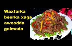 Waxtarka beerka xaga awoodda galmada