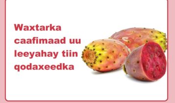 Waxtarka caafimaad uu leeyahay tiin qodaxeedka