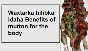 Waxtarka hilibka idaha Benefits of mutton for the body faa'idada hilibka idaha