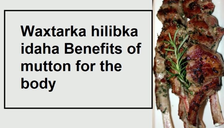 Waxtarka hilibka idaha Benefits of mutton for the body faa’idada hilibka idaha