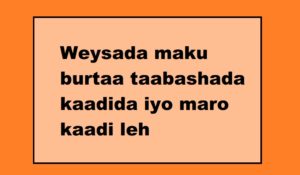 Weysada maku burtaa taabashada kaadida iyo maro kaadi leh