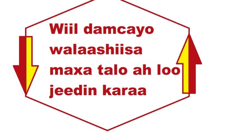 Wiil damcayo walaashiisa maxa talo ah loo jeedin karaa