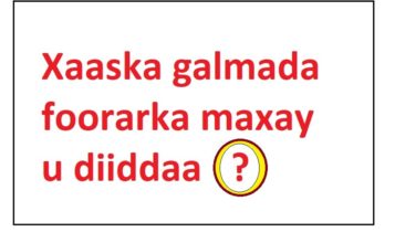 Xaaska galmada foorarka maxay u diiddaa