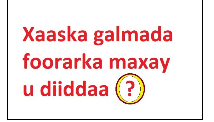 Xaaska galmada foorarka maxay u diiddaa