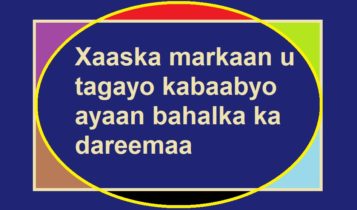 Xaaska markaan u tagayo kabaabyo ayaan bahalka ka dareemaa