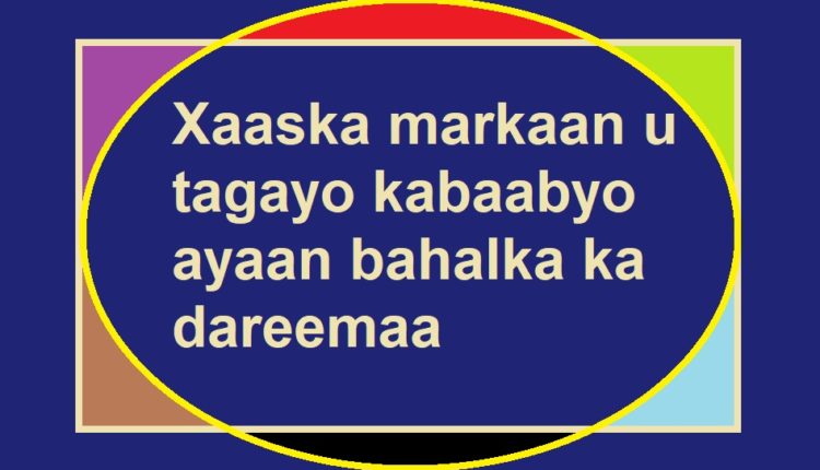 Xaaska markaan u tagayo kabaabyo ayaan bahalka ka dareemaa