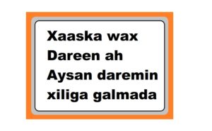 Xaaska wax Dareen ah Aysan daremin xiliga galmada