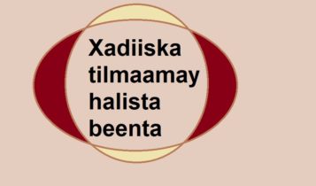 Xadiiska tilmaamay halista beenta