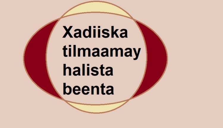 Xadiiska tilmaamay halista beenta