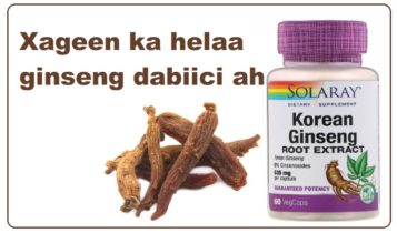 Xageen ka helaa ginseng dabiici ah