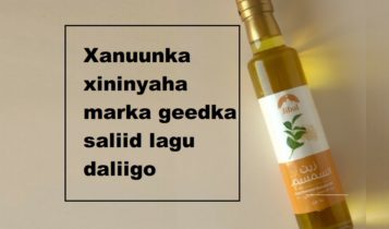 Xanuunka xininyaha marka geedka saliid lagu daliigo