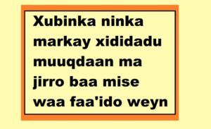 Xubinka ninka markay xididadu muuqdaan ma jirro baa mise waa faa'ido weyn