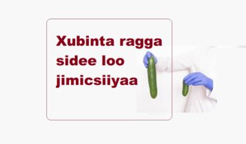 Xubinta ragga sidee loo jimicsiiyaa