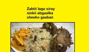 Zabtii lagu siray ninkii abgaalka sheeko gaaban